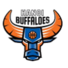 河内水牛logo